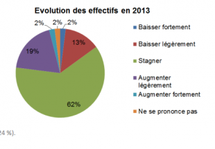 evolution_effectif_2013