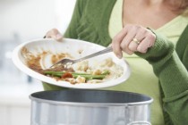 gaspillage-alimentaire-UNE