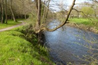 Bords du Trieux, Guingamp