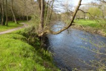 Bords du Trieux, Guingamp