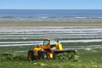 Image dossier nitrate