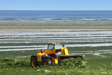 Pourquoi et comment les collectivités doivent lutter contre les nitrates ?