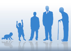 Réforme des retraites : quels effets pour les fonctionnaires