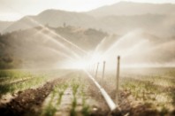 irrigation agricole2