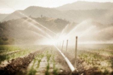 irrigation agricole2