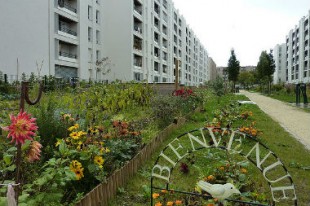 Les jardins ouvriers du Zéphyr, à la Rose des vents, Aulnay-sous-Bois