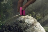 Journée du transport public