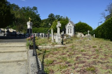 Des plantes couvre-sols au cimetière de Lardy.