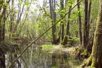 ornière-maison-nature-boult.eu_