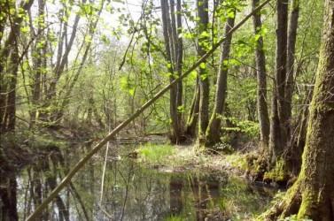 ornière-maison-nature-boult.eu_