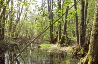 ornière-maison-nature-boult.eu_