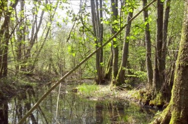 ornière-maison-nature-boult.eu_