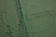 pac-agriculture-champ-mais-une