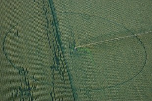 pac-agriculture-champ-mais-une