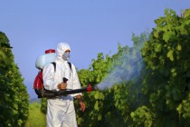 pesticides - humanite-biodiversite.fr