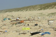 déchets-littoral-h