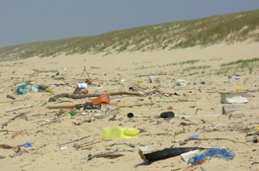 déchets-littoral-h
