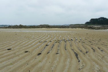 plage-sable-lannion-une
