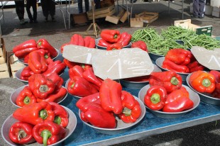 poivrons-rouges-agriculture
