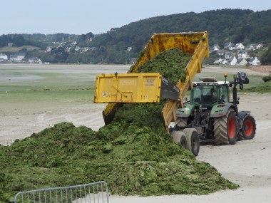 Enlèvement d'algues vertes échouées en baie de Lannion (Côtes-d'Armor), à l'été 2010, année du lancement du premier plan breton