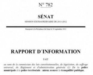 rapportSenatPM