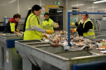 rd-centre-tri-generis