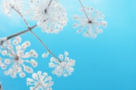 retrospective-2015-une