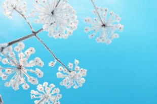 retrospective-2015-une