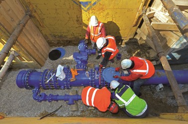 réseaux canalisateurs