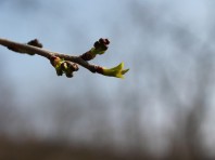 transition énergétique