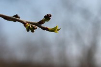 transition énergétique