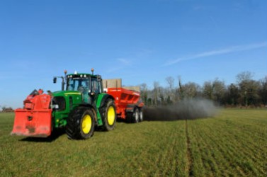 une-epandage-cendres