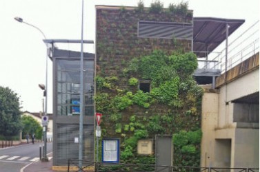 une-mur-vegetal