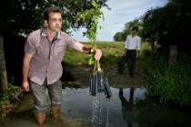 Les plans ont fait l’objet d’une sélection par les agriculteurs et l’Inra.