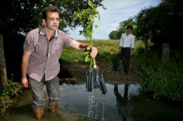 Les plans ont fait l’objet d’une sélection par les agriculteurs et l’Inra.