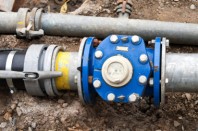 © fefufoto - Fotolia