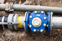 © fefufoto - Fotolia