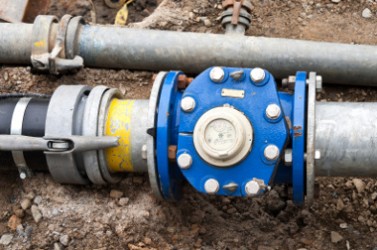 © fefufoto - Fotolia